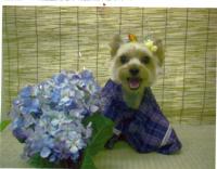 �~�J�̒��ŁE�E�E���߁H