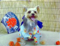 �����Ăɂ͗��߂ł��ˁB