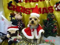 �Q�x�ڂ̃N���X�}�X�ߑ��ł��ˁI